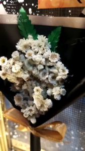 1 Hari Jadi Polaroid in Frame: Kado Pernikahan & Kado Ultah