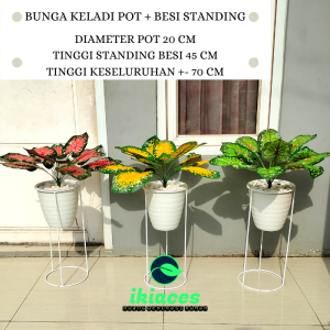 Daun Hias Bunga Keladi Pot Besi Bunga Plastik Bunga Artificial Bunga Palsu Daun Palsu Pot Standing Varian Warna Dekorasi Tanaman Murah
