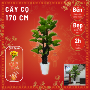 Cây cọ giả - Chiều cao từ 170cm đến 180cm - Cây giả hoa lụa Decor trang trí nhà cửa