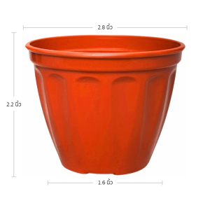 กระถาง กระถางแคคตัส กระถางโรมัน 2 2.8 3 นิ้ว สีอิฐ Bundle 50 ใบ ชิ้น อัน