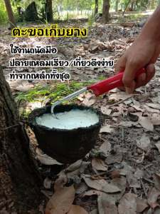 ตะขอเก็บยาง ด้ามรู เหล็กทั้งด้าม แข็งแรง ทนทาน ทำงานดี ใช้ง่าย เก็บสะดวก เหมาะสำหรับเก็บขี้ยาง ช่วยไม่ให้มือเหม็นกลิ่นขี้ยาง