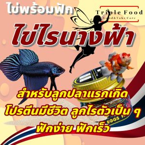 ไข่ไรนางฟ้า อาหารปลา Fish Food UHT อาหารลูกปลากัด อาหารลูกปลาแรกเกิด อาหารลูกปลา อนุบาลลูกปลา ทุกสายพันธุ์ ยังมี อาร์ทีเมีย ไรแดง ลูกน้ำ ใบหูกวาง ด่างทับทิม