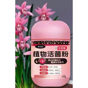 Phân Bón Hoa Lan - Bột Vi Sinh Vật Kích Rễ Mạnh Chống Thối Rễ Kích Hoa Phục Hồi Lan Yếu Tăng Miễn Dịch Vượt Trội
