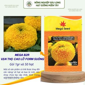 Hạt Giống Vạn Thọ F1 MEGA B2R – Vàng chanh Cao Lỡ Cổ Lùn Bông To – Mega Seed