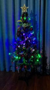 2 Pack Battery Operated Net String Lights 4.9x3.9Ft 100LED-Light 8 Modes Mesh Waterproof Wide Angle LED Curtain Lights for Christmas Xmas Garden Yard Party Wedding and Holiday Decor(Multi Color)