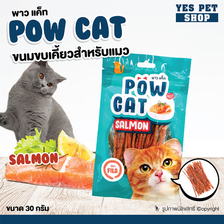 POW CAT ปลาเส้นแซลมอน 100% สำหรับแมว