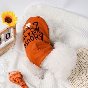 GBDSVD Thin Small Dog Hooded Clothes Comfortable Polyester Fiber Puppy Outfits Fashion Cute Dog Vest for Spring and Summer