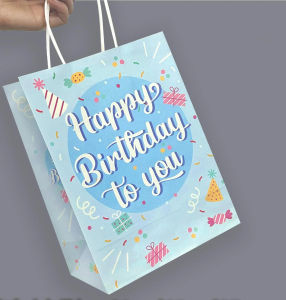 【SG Stock】Paper Bag Gift Bag Birthday Party Goodie Bag Paper Bags for Gift纸质礼品袋