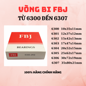 Vòng bi FBJ 6300 6301 6302 6303 6304 6305 6306 6307