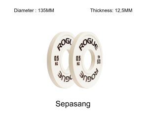 ROGUE IWF Change Plate Original gym Weight Plate Fitness CrossFit Weightlifting  Powerlifting ELEIKO