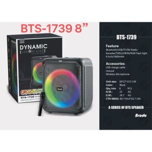 Bts.Shop BTS-1935 6.5 inch IKARAOKE BOX professional system Bluetooth speaker with microphone