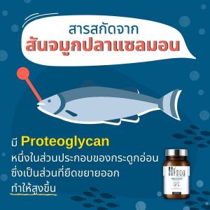 | กระปุก | ผลิตภัณฑ์บำรุงกระดูก | หมอนกระดูก | Higo 3 กระปุก ผลิตภัณฑ์บำรุงกระดูก |