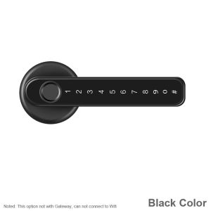 RAYKUBE Electronic Door Lock Fingerprint Bluetooth TT Lock Wifi Gateway Support AI Voice Command Smart Lock