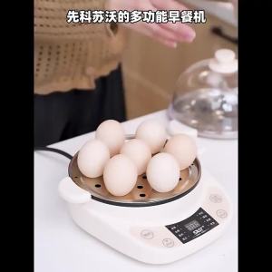 Electric Cooker Egg Boiler Cooker Egg Maker Can Be Scheduled Steamed Egg Pot Environmental Protection Electric Cooker Egg Boiler Cooker