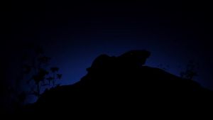 P135 MAX  Magnetic Selfie Stick Tripod with Magnetic Phone Holder & Detachable Wireless Remote for IPhone & Android