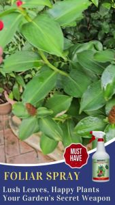 (BotanicaBay)Foliar Spray for Healthy Leaves (1000ml) - Boost Lush Healthy Leaves Fast!