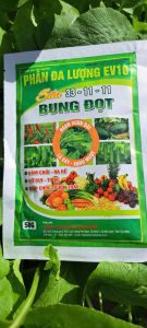 Phân bón lá BUNG ĐỌT 33-11-11: siêu bung đọt kích mập đọt đâm chồi mạnh bung chồi