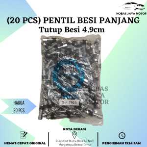 (20 pcs) Pentil Tubeless Besi Panjang 4.9 cm Tutup Besi