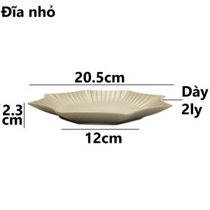 Túi 5 dĩa phíp sao nhựa VIỆT NHẬT - Nhám -  Đựng đồ xào trộn thức ăn nhanh buffet - 1190/93