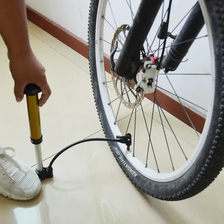 Hand Pump How To Fill Your Bike Tires With Air Portable Mini