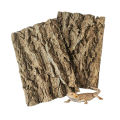 Natural Champagne Cork Bark Background Enclosure Tree Bark for Tarantula Lizard Hideout. 