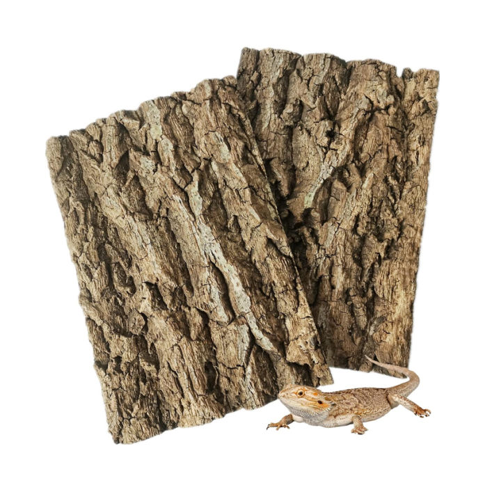 Natural Champagne Cork Bark Background Enclosure Tree Bark for ...