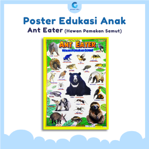 Poster Edukasi Anak Belajar Hewan Pemakan Semut Ant Eater