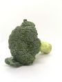 บล็อคโคลี่ 1หัว 250-350กรัม🥦 - ผักผลไม้สด Broccoli. 