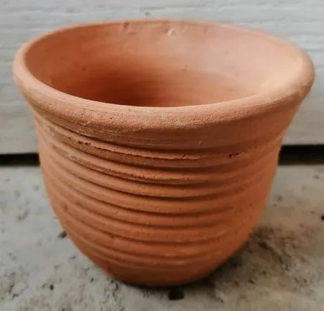 10 อันดับ กระถางดินเผา 4 นิ้ว ยี่ห้อไหนดี? อัปเดตปี 2025