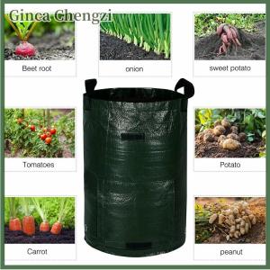 Ginca Túi trồng khoai tây trồng cây 3 5 7 10 gallon chậu trồng rau vườn PE chống nước