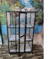 Free Ongkir ! Kandang Kucing Alumunium Tingkat 90x60x150. 