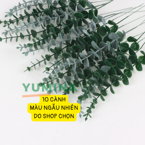 Bó 10 Cành Khuynh Diệp Dài 38CM Siêu Đẹp Trang Trí Nhà Hàng Decor Chụp Ảnh Phong Cách Châu Âu Làm Hoa Cưới
