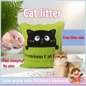 🔥Bentonite Cat Litter 2KG Set - Super Clumping + Odor Lock No Dust High Quality + Free Litter Mat