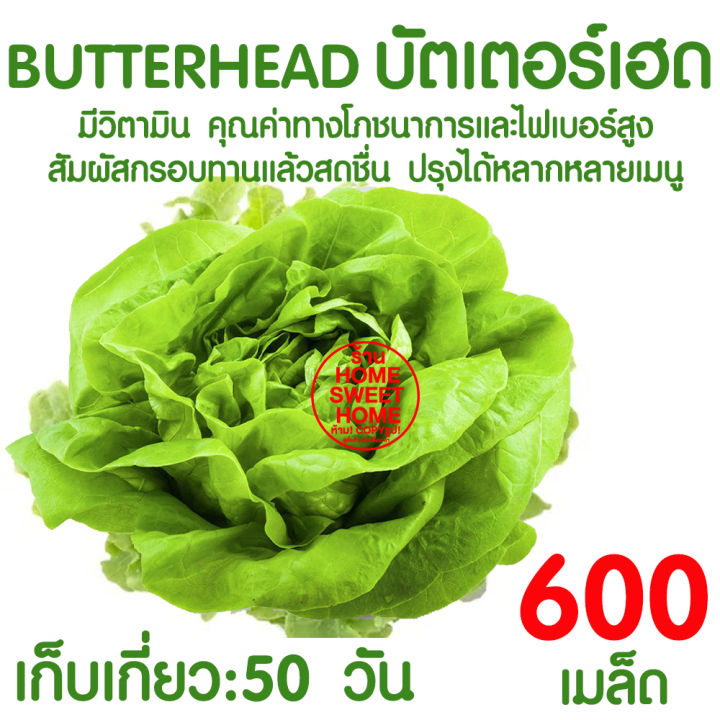 เมล็ดผักสลัดบัตเตอร์เฮด 600 เมล็ด