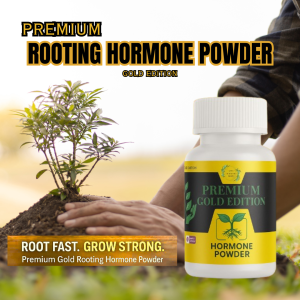 ROOTING POWDER PREMIUM GOLD - GROW FASTER GROW STRONG
