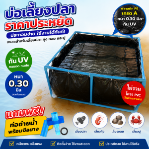 บ่อเลี้ยงปลา PE 0.30 มิล ลึก 45 ซม. แถมท่อถ่ายน้ำฟรี (ไม่รวมโครง) บ่อเลี้ยงปลา บ่อเลี้ยงกุ้ง บ่อเลี้ยงหอย