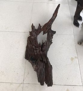 Lũa gỗ nghệ thuật trang trí Ms54 link C