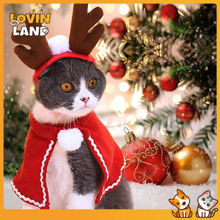 Lovinland Christmas Cat Costumes Funny Santa Claus Clothes For Small Cats Dogs Xmas New Year Pet Cat Clothing Winter Kitty Kitten Outfits Cute Pet Accessories - Lazada | Lazada PH Lovinland Christmas Cat Costumes Funny Santa Claus Clothes For Small Cats Dogs Xmas New Year Pet Cat Clothing Winter Kitty Kitten Outfits Cute Pet Accessories - Lazada | Lazada PH