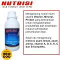 Vitamin Ikan Nila Biar Cepat Besar/Vitamin Meningkatkan Nafsu Ikan Untuk Penggemukan Ikan Nila. 