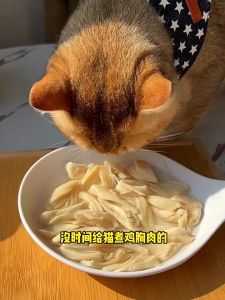 Freeze-dried cat snacks chicken cubes/chicken breast/Duck meat/chicken heart pet snacks Gain weight nutritious cat food