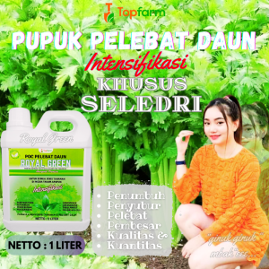 Pupuk Booster Seledri / Pupuk Khusus Daun Seledri / Pupuk Daun Terbaik / Pupuk Tanaman Cepat Subur / Pupuk Penyubur Tanaman Seledri / Pupuk Royal Green 1 Liter