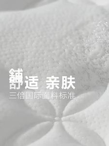 30cm Thickened Mattress Super Soft Memory Foam Latex Mattress Individual Spring (JS)