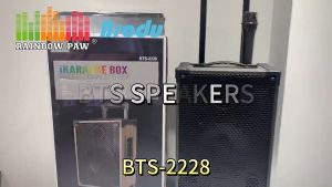 BTS-2228 Rechargeable Amplifier Speaker 8“40W InWood Trolley Bluetooth Speaker With Wireless Mic BTS KTS