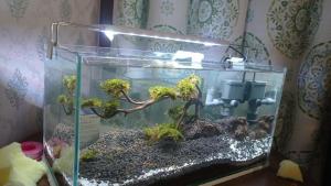 Kandila Lampu LED Aquarium 30cm RGB Original Murah Terang Putih Biru Hijau Merah Warna Warni Dudukan Lampuaquarium Akuarium Aquascape Ikan Koi Louhan S300 Gratis Ongkir