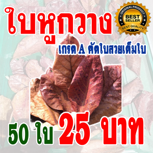 ส่งด่วน!!! เกรดA+++ ใบหูกวางตากแห้ง คัดใบสวยเต็มใบ เร่งสีปลากัด ช่วยให้ปลากัดสวยงามขึ้น ปรับสภาพน้ำ