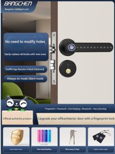 Modern Smart Lock Modern Luxury Design HDB Condo Landed Custom All Sizes Professional Delivery