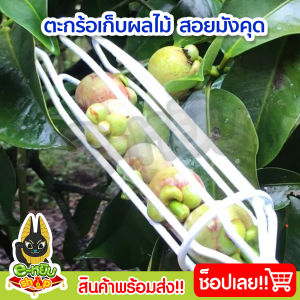 ตะกร้อสอยมังคุด ที่สอยมังคุด PVC ที่เก็บมังคุดตราค้างคาว ที่เก็บผลไม้ แข็งแรง ทนทาน ช่วยเก็บมังคุดได้สะดวกรวดเร็ว