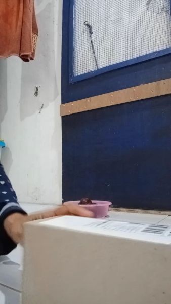 Buyer review video 3