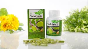 Obat Nyeri Sendi dan Lutut - Obat Sakit Lutut dan Sendi - Obat Sendi dan Tulang Lutut - Keloreena 50