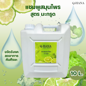 แชมพูสมุนไพรมะกรูด Herbal Shampoo แชมพูสระผม บรรจุแกลลอน ยี่ห้อ Q-HANA ขนาด 10 ลิตร